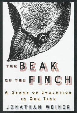 Beak of the Finch A Story of Evolution in Our Time  9780679400035 Front Cover