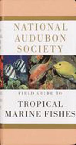 National Audubon Society Field Guide to Tropical Marine Fishes Caribbean, Gulf of Mexico, Florida, Bahamas, Bermuda  9780679446019 Front Cover
