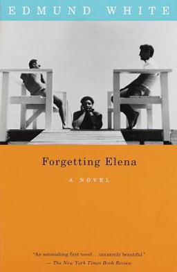 Forgetting Elena A Novel  9780679755739 Front Cover
