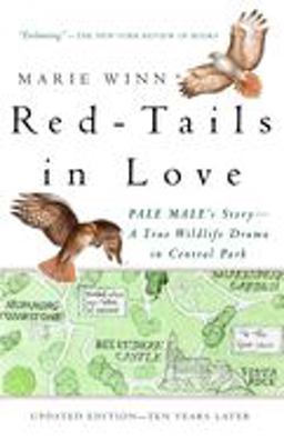Red-Tails in Love PALE MALE's STORY--A True Wildlife Drama in Central Park  9780679758464 Front Cover