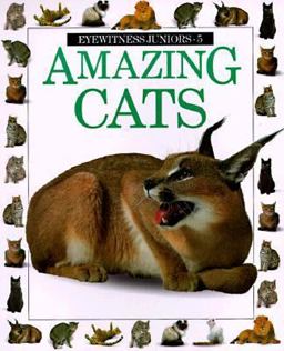 Amazing Cats