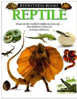 Reptile