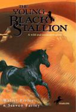 Young Black Stallion  9780679813484 Front Cover