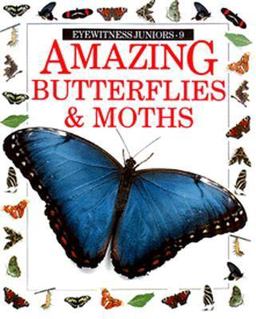 Amazing Butterflies and Moths