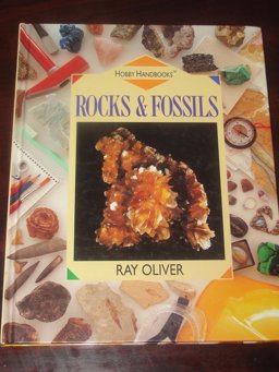 Rocks and Fossils