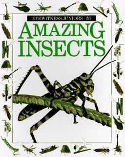 Amazing Insects