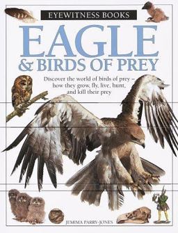 Eagle and Birds of Prey
