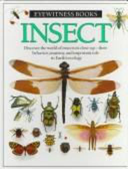 Insect