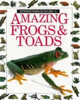 Amazing Frogs and Toads