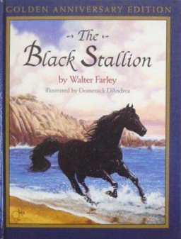 The Black Stallion