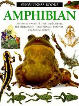 Amphibian