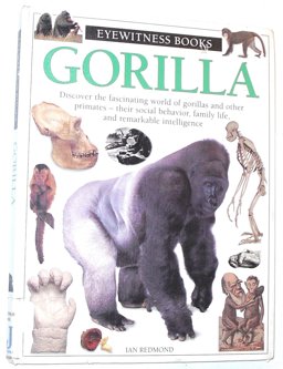 Gorilla