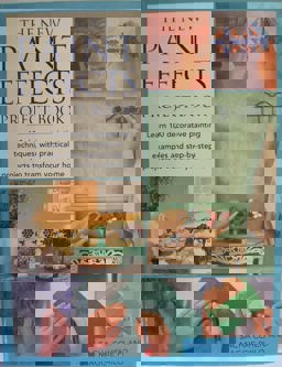 The New Paint Effects Project Book