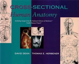Cross-Sectional Human Anatomy  9780683303858 Front Cover