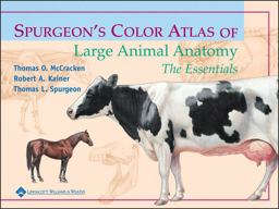 Spurgeon's Color Atlas of Large Animal Anatomy The Essentials  9780683306736 Front Cover