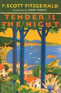 Tender Is the Night A Novel  9780684801544 Front Cover