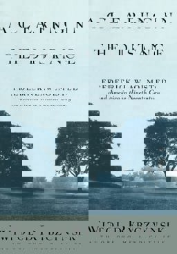 Clearing in the Distance Frederick Law Olmsted and America in the 19th Century  9780684824635 Front Cover