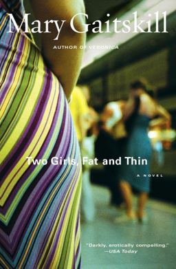 Two Girls, Fat and Thin A Novel  9780684843124 Front Cover