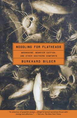 Noodling for Flatheads Moonshine, Monster Catfish, and Other Southern Comforts  9780684850115 Front Cover