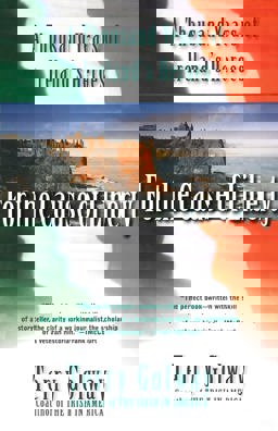 For the Cause of Liberty A Thousand Years of Ireland's Heroes  9780684855578 Front Cover