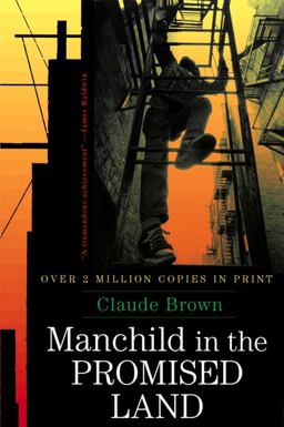 Manchild in the Promised Land  9780684864181 Front Cover