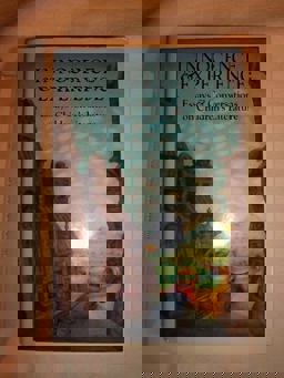 Innocence and Experience