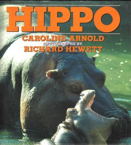 Hippo