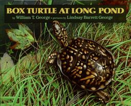 Box Turtle at Long Pond  9780688081843 Front Cover