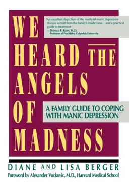 We Heard the Angels of Madness  9780688116156 Front Cover