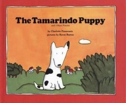 The Tamarindo Puppy