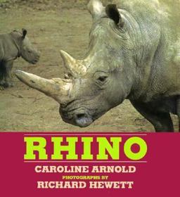 Rhino