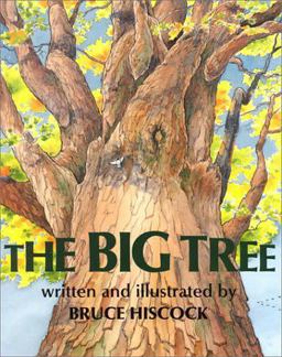 The Big Tree