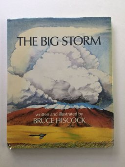 The Big Storm