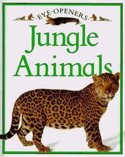 Jungle Animals