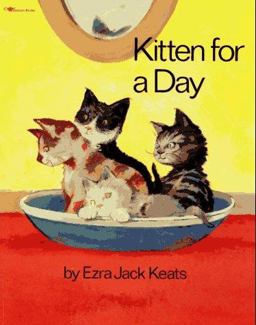Kitten for a Day