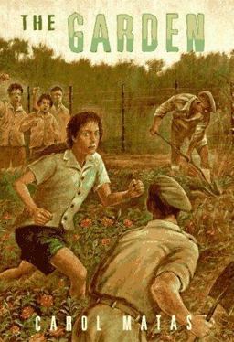 The Garden The Garden