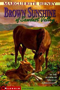 Brown Sunshine of Sawdust Valley  9780689807794 Front Cover