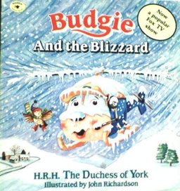 Budgie and the Blizzard