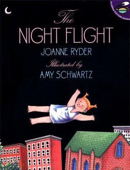 The Night Flight