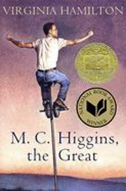 M. C. Higgins, the Great