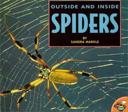 Outside and Inside Spiders