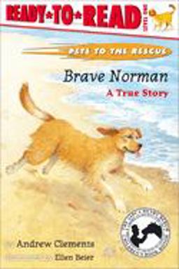 Brave Norman A True Story  9780689834387 Front Cover