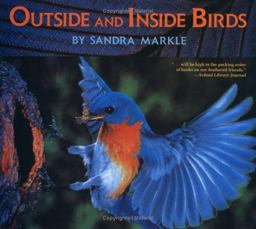 Outside and Inside Birds