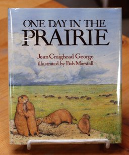 One Day in the Prairie