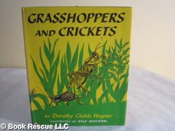 Grasshoppers and Crickets