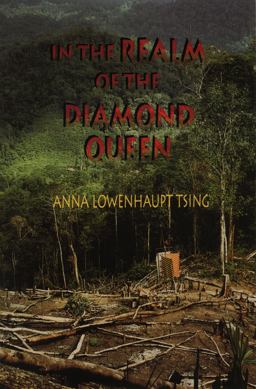 In the Realm of the Diamond Queen Marginality in an Out-Of-the-Way Place  9780691000510 Front Cover