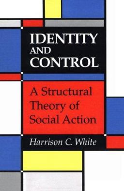 Identity and Control A Structural Theory of Social Action  9780691003986 Front Cover