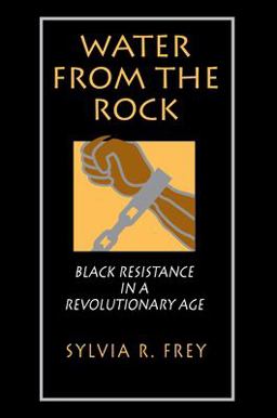 Water from the Rock Black Resistance in a Revolutionary Age  9780691006260 Front Cover