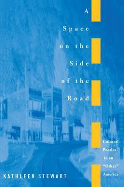 Space on the Side of the Road Cultural Poetics in an Other America  9780691011035 Front Cover
