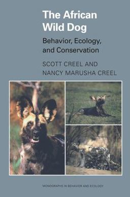 African Wild Dog Behavior, Ecology, and Conservation  9780691016542 Front Cover